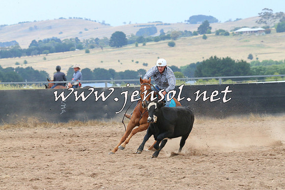 BraidwoodCampdraft2014_2419