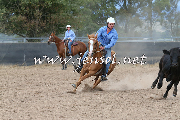 BraidwoodCampdraft2014_2552