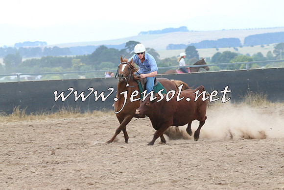 BraidwoodCampdraft2014_2432