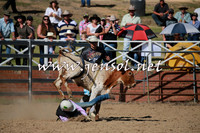 CoomaRodeo2016_1969