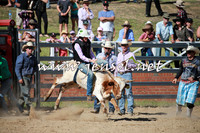 CoomaRodeo2016_1975