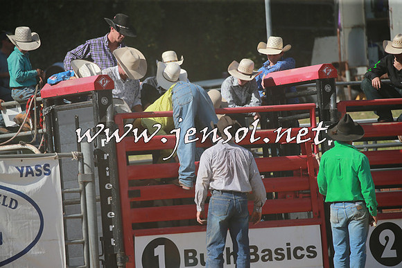 CoomaRodeo2016_2056