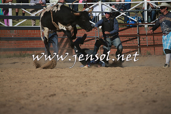 CoomaRodeo2016_2525