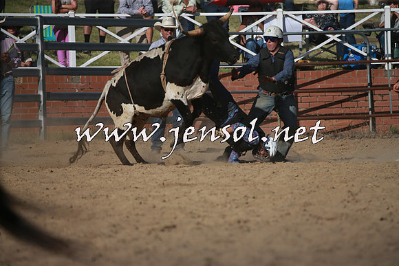 CoomaRodeo2016_2523