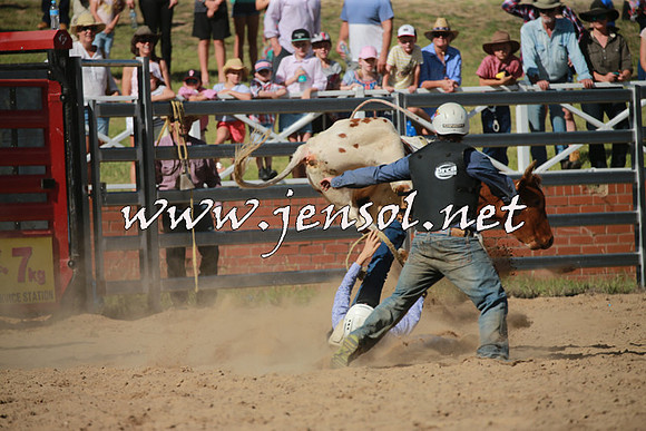 CoomaRodeo2016_2016
