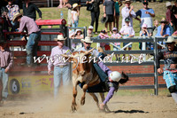 CoomaRodeo2016_1950