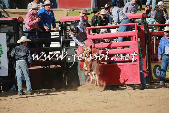 CoomaRodeo2016_2424