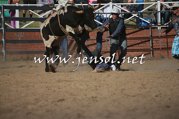 CoomaRodeo2016_2524