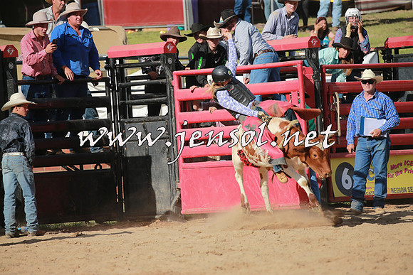 CoomaRodeo2016_2430