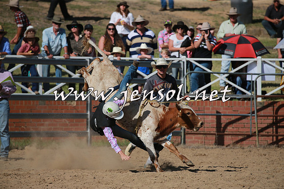 CoomaRodeo2016_1973