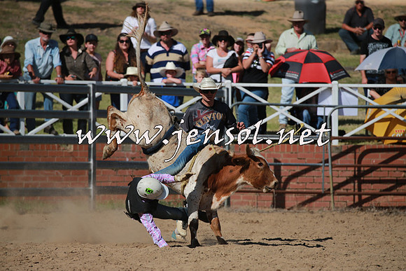 CoomaRodeo2016_1966