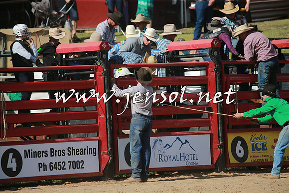 CoomaRodeo2016_1953