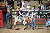 CoomaRodeo2016_1972