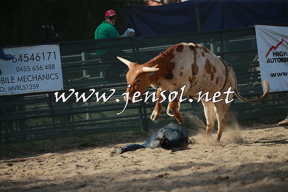 CoomaRodeo2016_2413