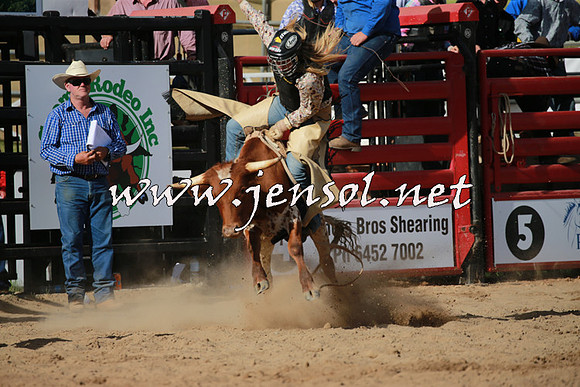 CoomaRodeo2016_2329
