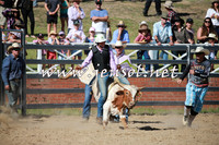 CoomaRodeo2016_1974