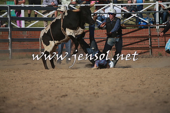 CoomaRodeo2016_2522