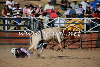 CoomaRodeo2016_1968