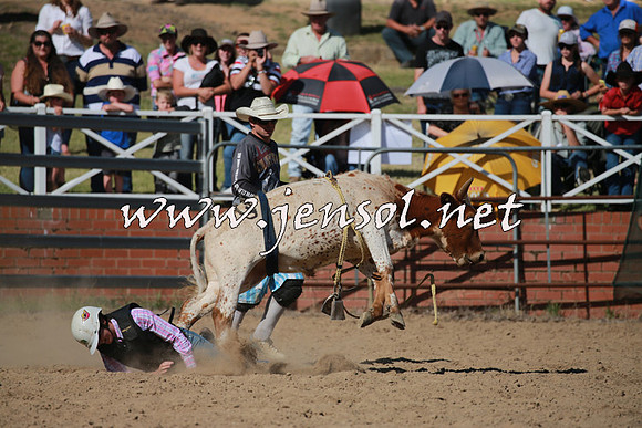 CoomaRodeo2016_1968