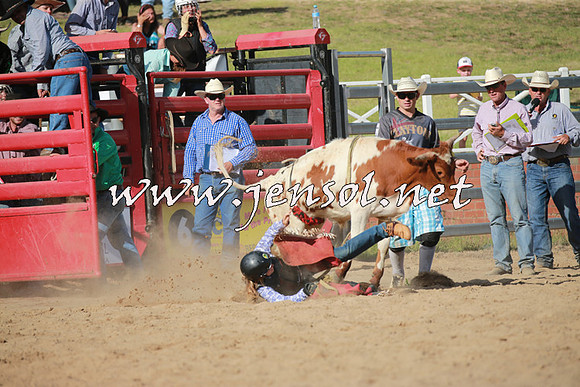 CoomaRodeo2016_2427