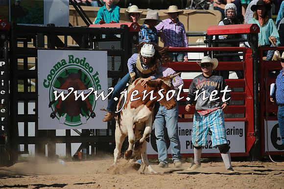 CoomaRodeo2016_1987