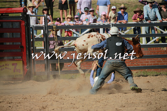 CoomaRodeo2016_2015