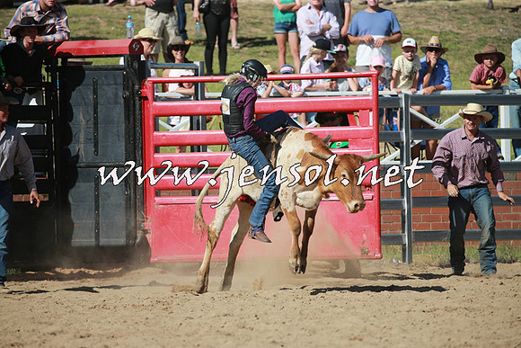 CoomaRodeo2016_1980