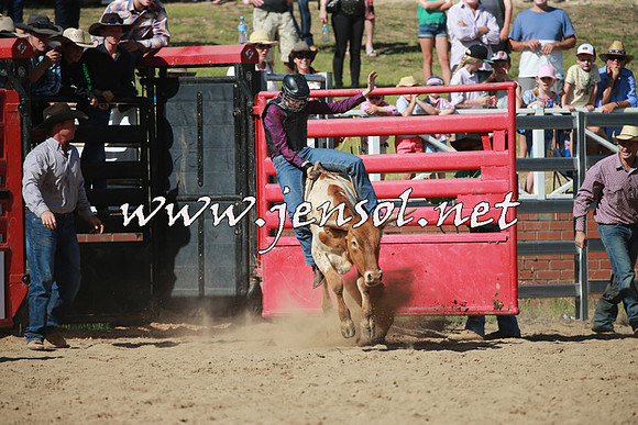CoomaRodeo2016_1977