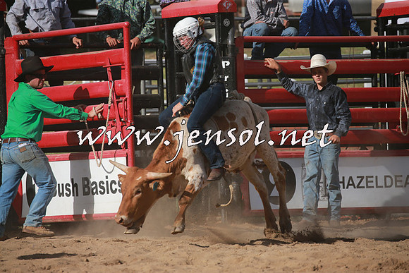 CoomaRodeo2016_2371