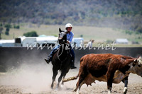 AdaminabyCampdraft2016_0238