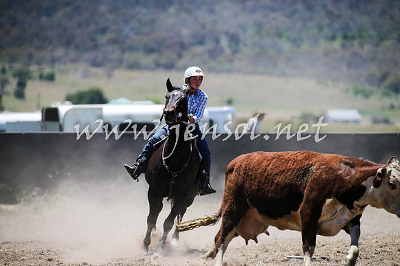 AdaminabyCampdraft2016_0238