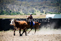 AdaminabyCampdraft2016_0279