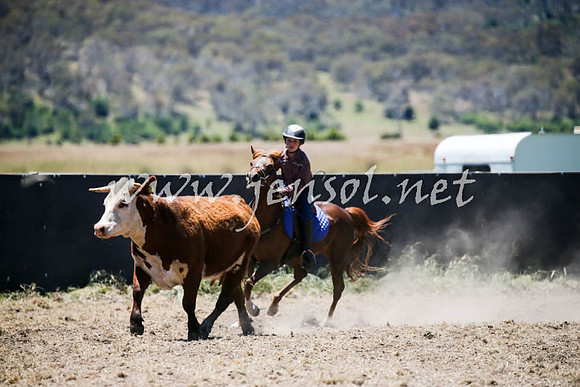 AdaminabyCampdraft2016_0279