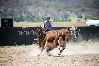 AdaminabyCampdraft2016_0236
