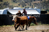 AdaminabyCampdraft2016_0280