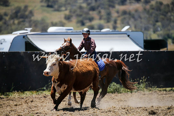 AdaminabyCampdraft2016_0280