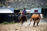 AdaminabyCampdraft2016_0270