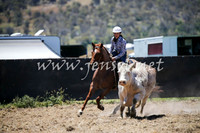 AdaminabyCampdraft2016_0301