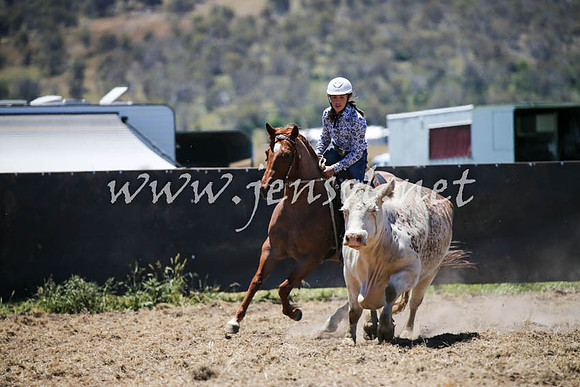AdaminabyCampdraft2016_0301