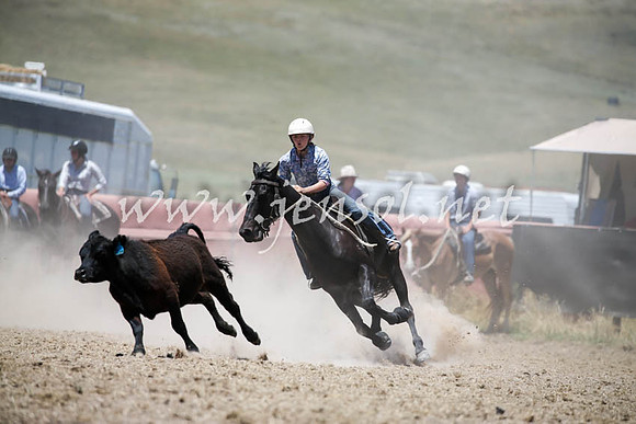 AdaminabyCampdraft2016_0317