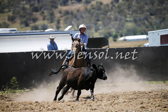 AdaminabyCampdraft2016_0311