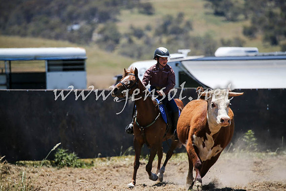 AdaminabyCampdraft2016_0288