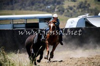 AdaminabyCampdraft2016_0256