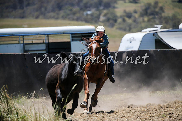 AdaminabyCampdraft2016_0256