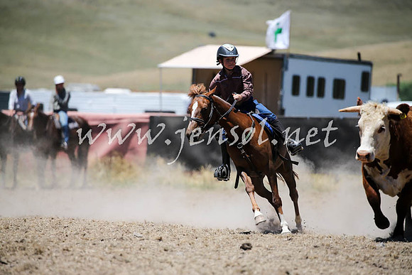 AdaminabyCampdraft2016_0296