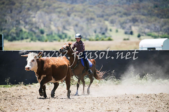 AdaminabyCampdraft2016_0276