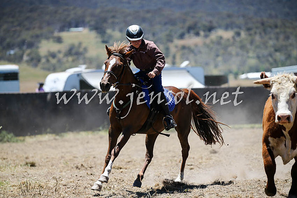 AdaminabyCampdraft2016_0292