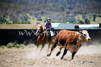 AdaminabyCampdraft2016_0232