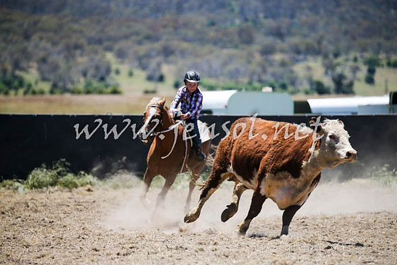 AdaminabyCampdraft2016_0232