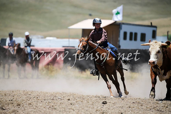 AdaminabyCampdraft2016_0295